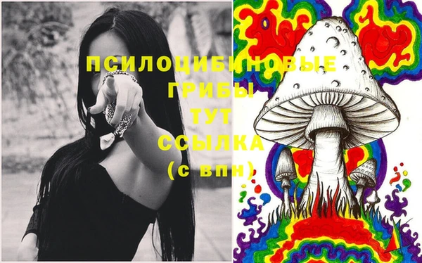 каннабис Баксан