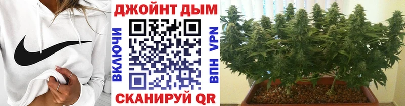 цена   Белоусово  сайты даркнета какой сайт  Каннабис сатива 